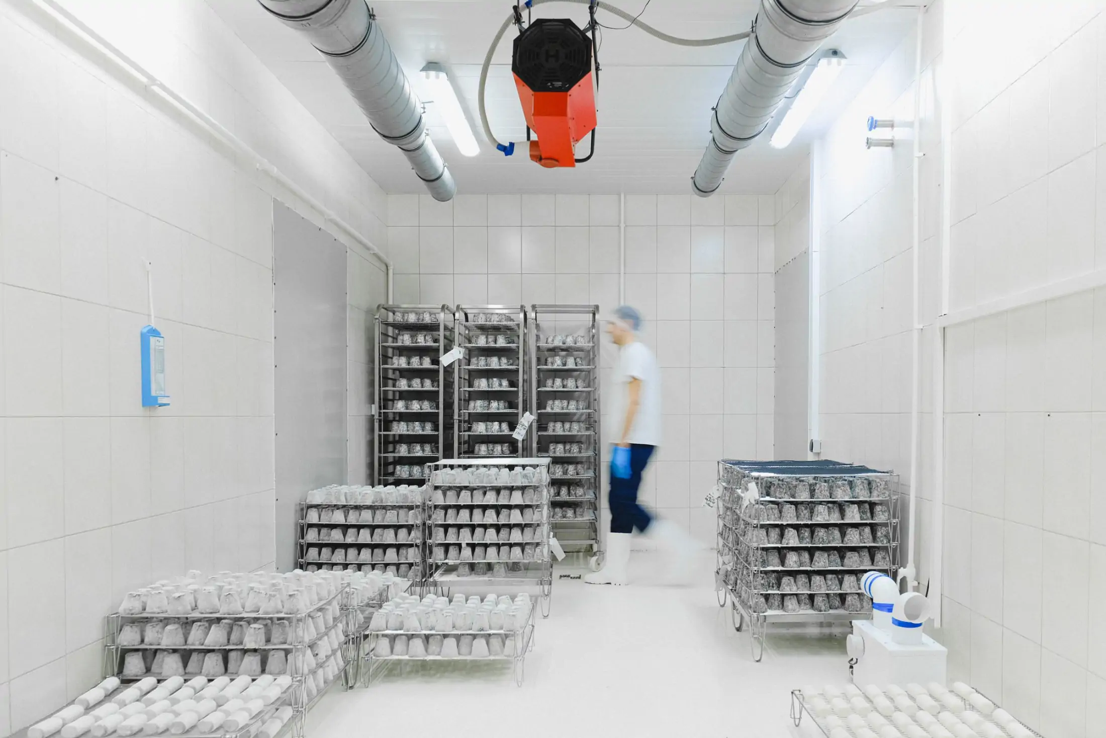Walk-in cold room with ceiling ducting, evaporator unit and stainless racks of chilled product